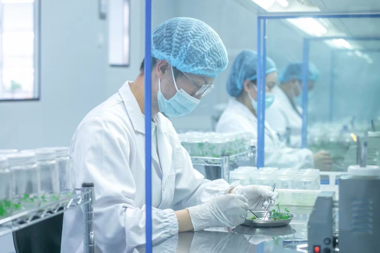 滅菌器  組培滅菌鍋  高壓滅菌設備